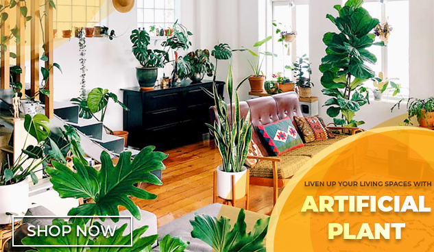Plants Plants