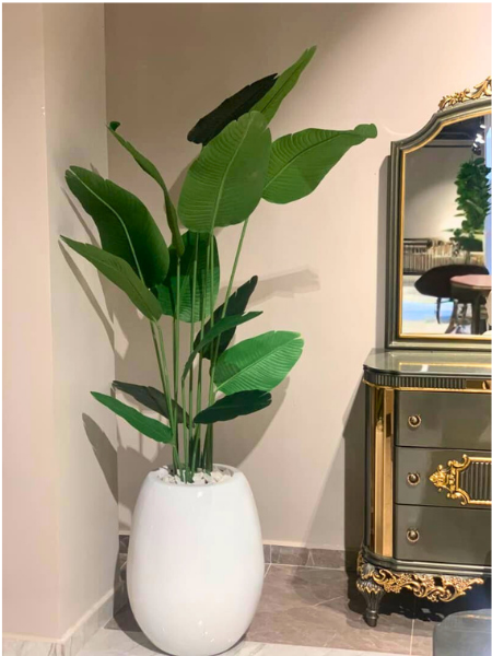 Fiberglass Planters
