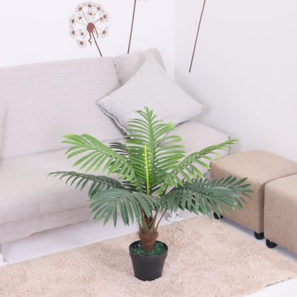 Decorate Your Home with Stylish Mini Palm plants| 60cm