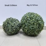 Ball Boxwood