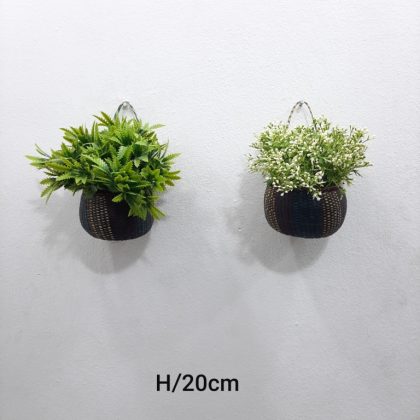 Mini Potted Plants