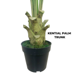 ARTIFICIAL KENTIA PALM TREES FOR INDOOR/OUTDOOR DECOR