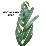 ARTIFICIAL KENTIA PALM TREES FOR INDOOR/OUTDOOR DECOR