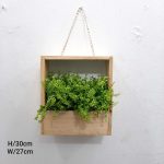 wall hanging Plant