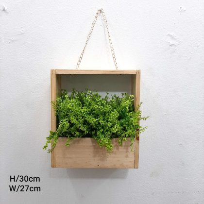 wall hanging Plant