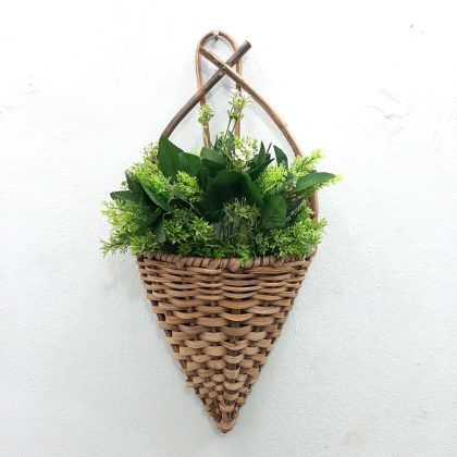 wall Hanging Plant