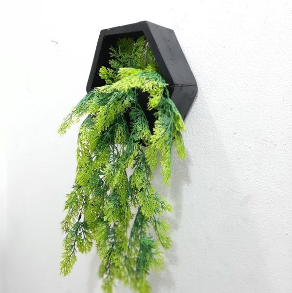 Hanging Plant