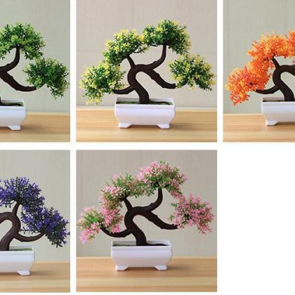 Table Top Bonsai