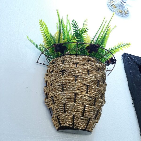 Hanging Plant