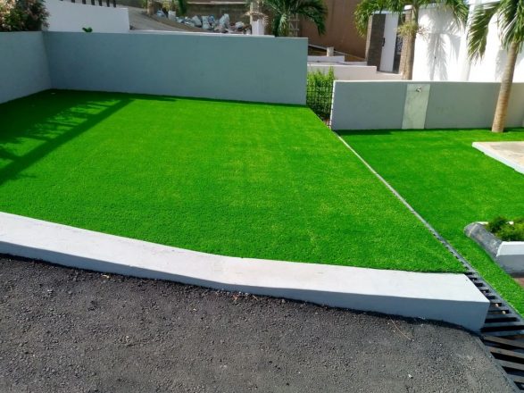 Carpet grass