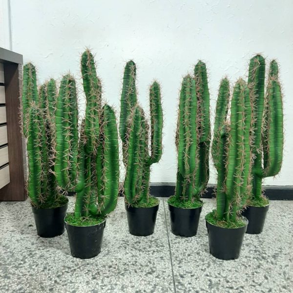 ARTIFICIAL CACTUS PLANT | WHOLESALE OF FAKE PLANTS |ORDER NOW