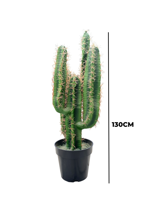 ARTIFICIAL CACTUS PLANT BULK FAKE PLANT SALES ORDER NOW