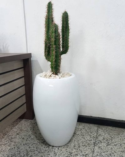 Artificial Potted Cactus Plant