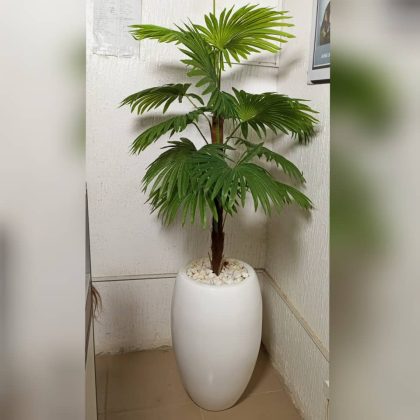 Artificial Fan Plants