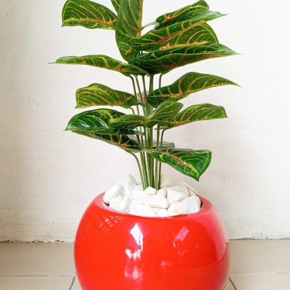 Potted Mini Taro Artificial Plant With a Red Ball Shape Fiberglass Pot - 75cm