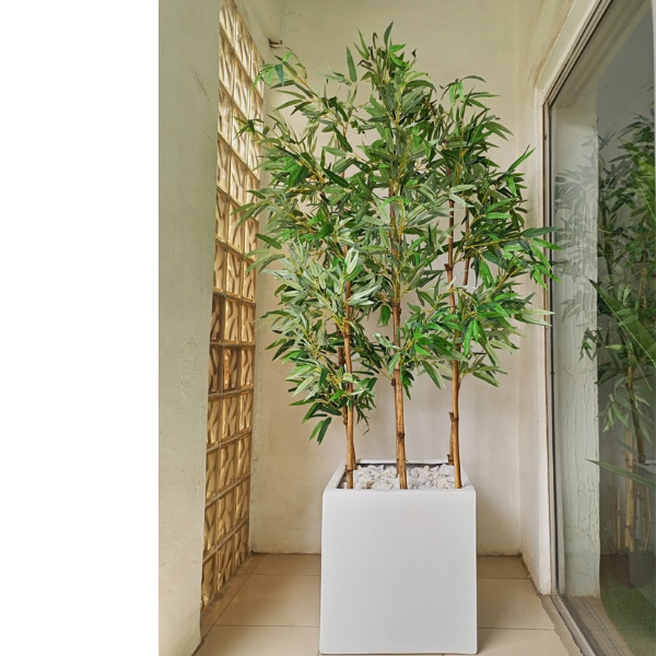 220cm Bamboo Plants Potted With A 50cmX50cm Fiberglass Vase