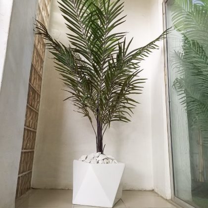 30cmX30cm Galaxy Fiberglass Vase Potted With Dark Palm Plant - Height 200cm