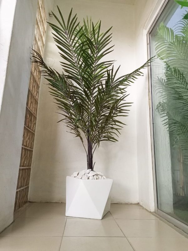 30cmX30cm Galaxy Fiberglass Vase Potted With Dark Palm Plant - Height 200cm