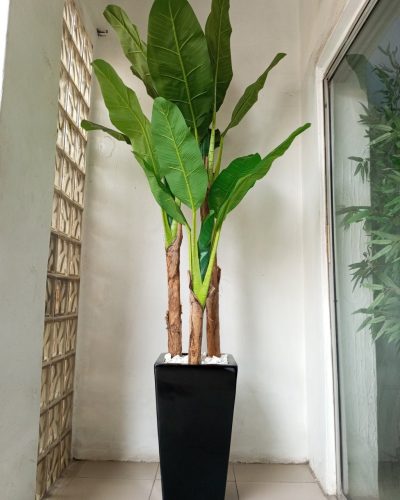 Artificial Banana Tree Plant Potted With Fiberglass Vase - 240cm Height