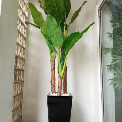 Artificial Banana Tree Plant Potted With Fiberglass Vase - 240cm Height