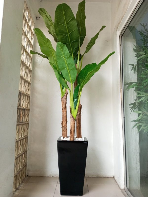 Artificial Banana Tree Plant Potted With Fiberglass Vase - 240cm Height