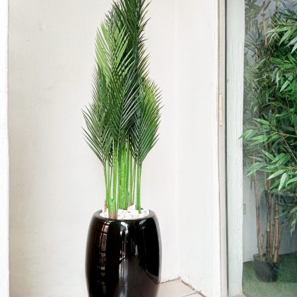 Five Stem Artificial Palm Plant Potted With a Fiberglass Pot - Height 192cm