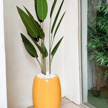 Artificial Banana Plant Potted With a Fiberglass Vase - 180cm height