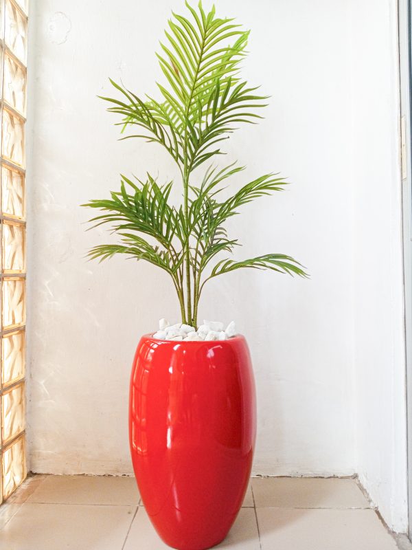 Potted Single Palm Plant With Red Fiberglass Pot - Height 150cm