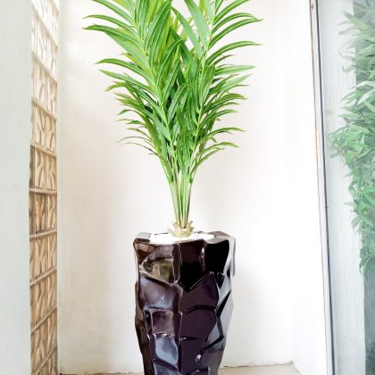 Potted Artificial Kentia Palm Plant With Jargon Fiberglass Pot - Height 190cm