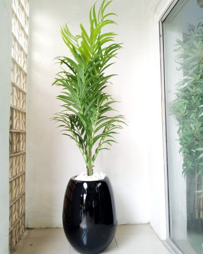 Artificial Potted Kentia Palm Plant With A Fiberglass Pot