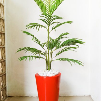 Single Palm Plant Potted With Red Cone Fiberglass Pot - Height 150cm