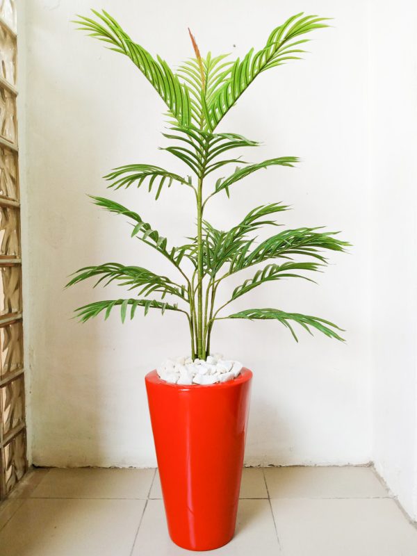 Single Palm Plant Potted With Red Cone Fiberglass Pot - Height 150cm
