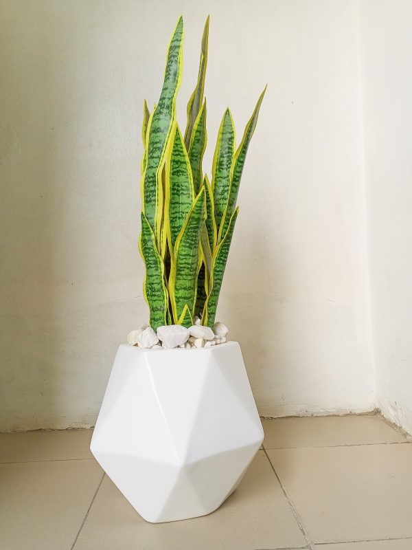 Potted Artificial Snake Plant With Dodecagon(12 sided) Fiberglas Vase - Height 100cm