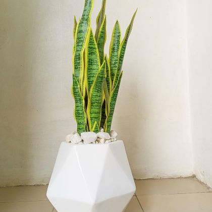 Potted Artificial Snake Plant With Dodecagon(12 sided) Fiberglas Vase - Height 100cm