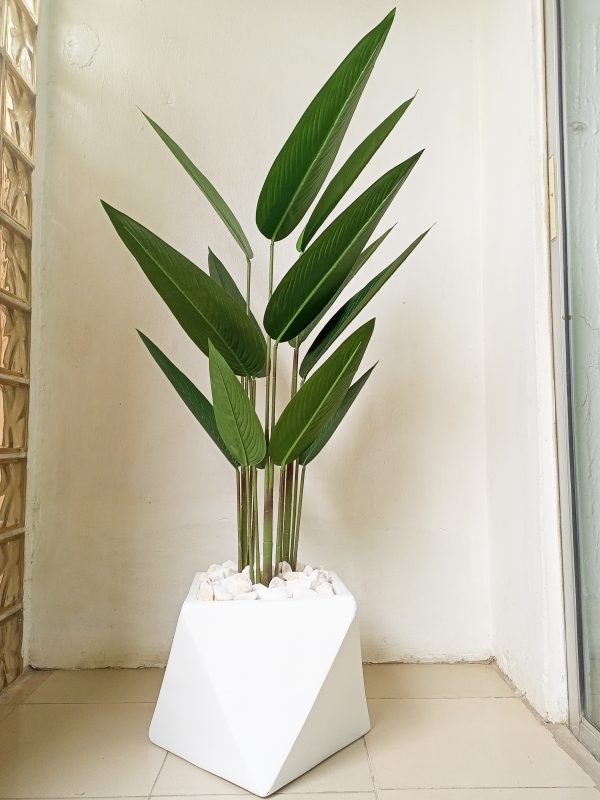 Artificial Banana Flower Potted With A White Fiberglass Pot - 150cm height