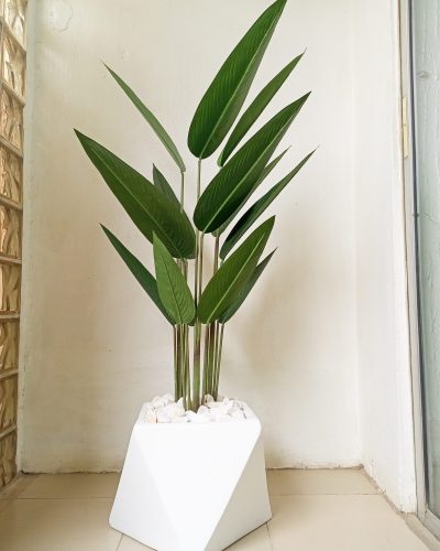 Artificial Banana Flower Potted With A White Fiberglass Pot - 150cm height