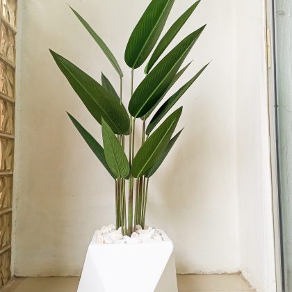 Artificial Banana Flower Potted With A White Fiberglass Pot - 150cm height