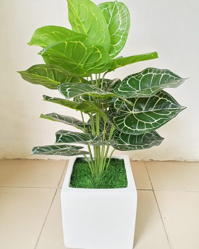 Artificial Mini Plant Potted In A 20cmX20cm Fiberglass Pot - Height 70cm