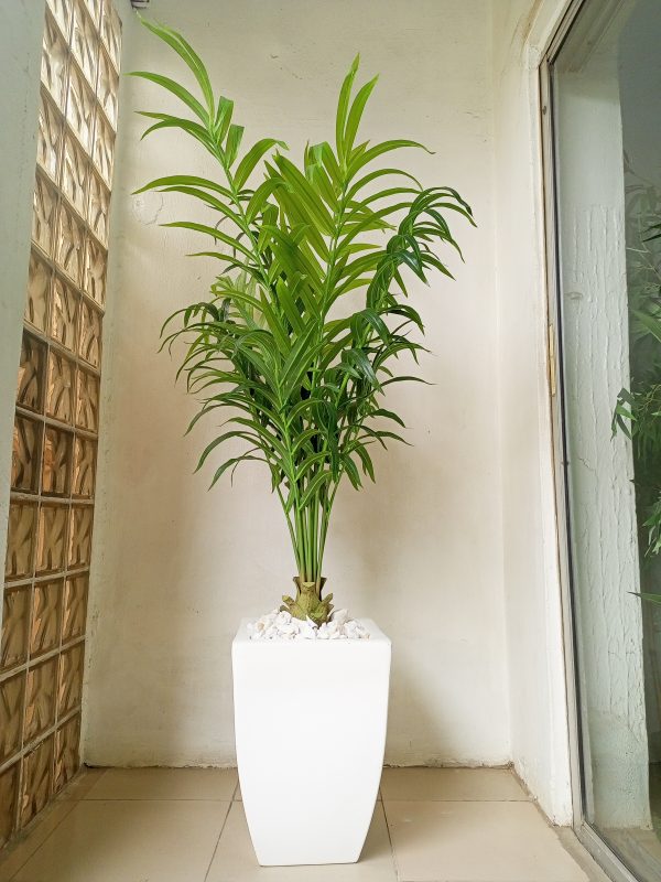 Artificial Kentia Palm Plant Potted With A Fiberglass Vase - 185cm Height