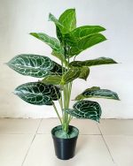 MINI TARO ARTIFICIAL PLANTS | MINI PLANT WHOLESALE | "Buy Now"