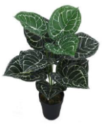 MINI TARO ARTIFICIAL PLANTS | MINI PLANT WHOLESALE | "Buy Now"