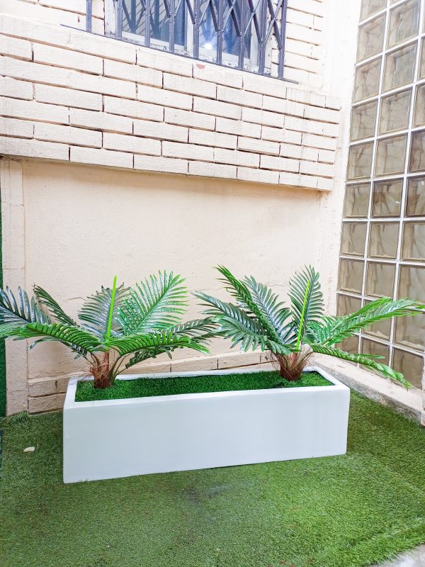 Trough Fiberglass Vase With Sago Palm Plant