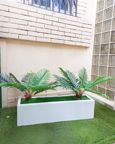 Trough Fiberglass Vase With Sago Palm Plant