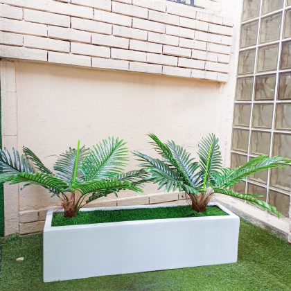 Trough Fiberglass Vase With Sago Palm Plant