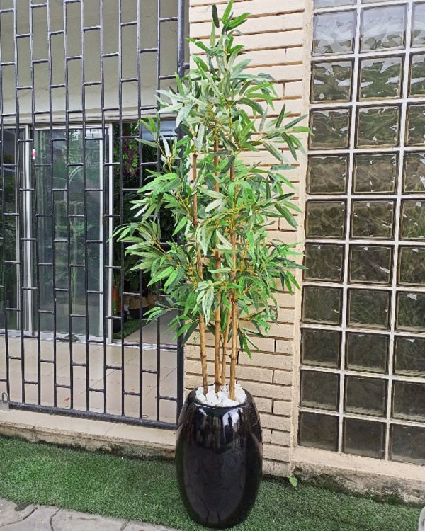 bamboo plants on Classic vase