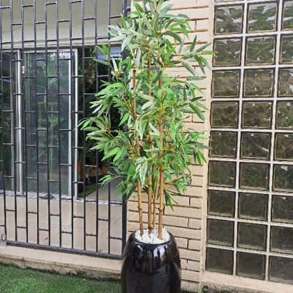 bamboo plants on Classic vase