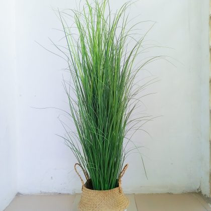 Reed Grass Plant In Wicker Basket Vase