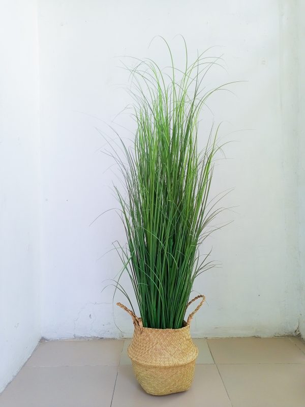 Reed Grass Plant In Wicker Basket Vase