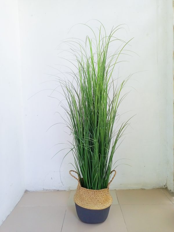 Reed Grass Plant In Wicker Basket Vase