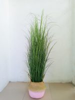 Reed Grass Plant In Wicker Basket Vase